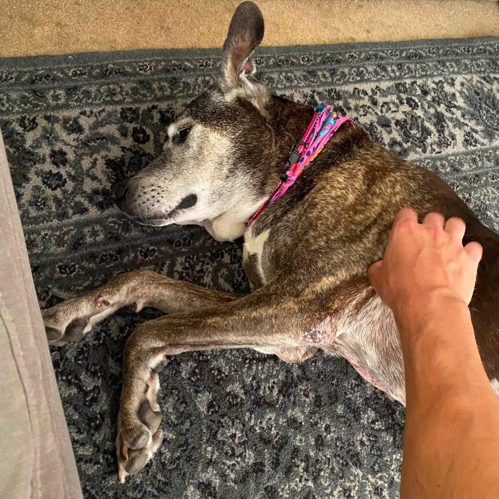 Kyla, photo 6