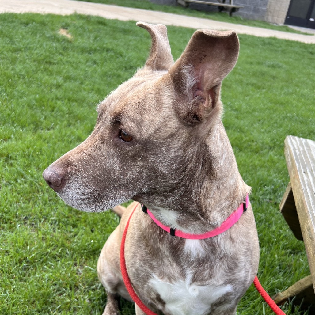 Dixie Loo, photo 16