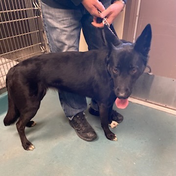 Daisy — thumbnail 2