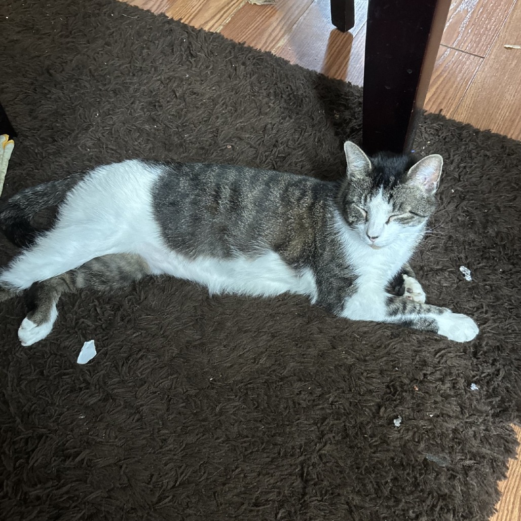 Photo of Riggs 3