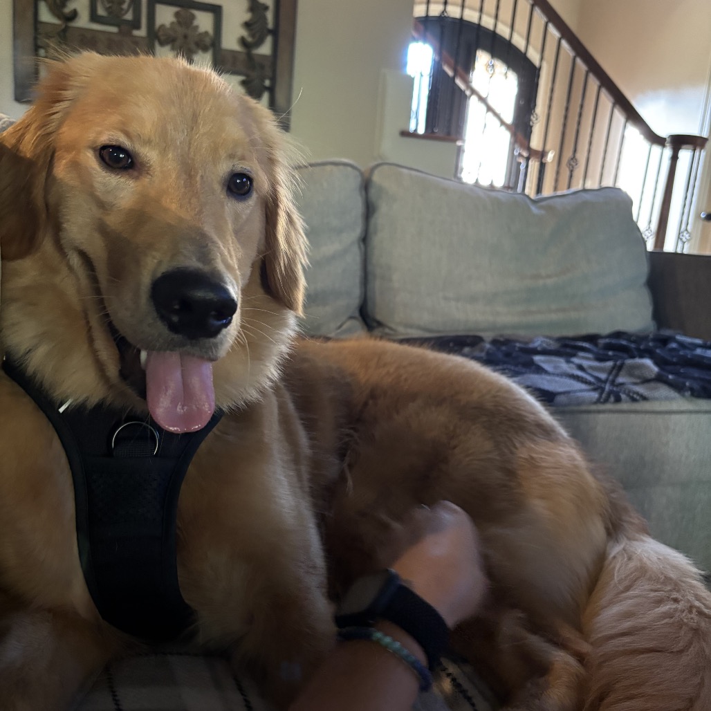 Cooper