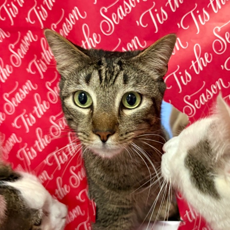 Close-up photo of Squirt