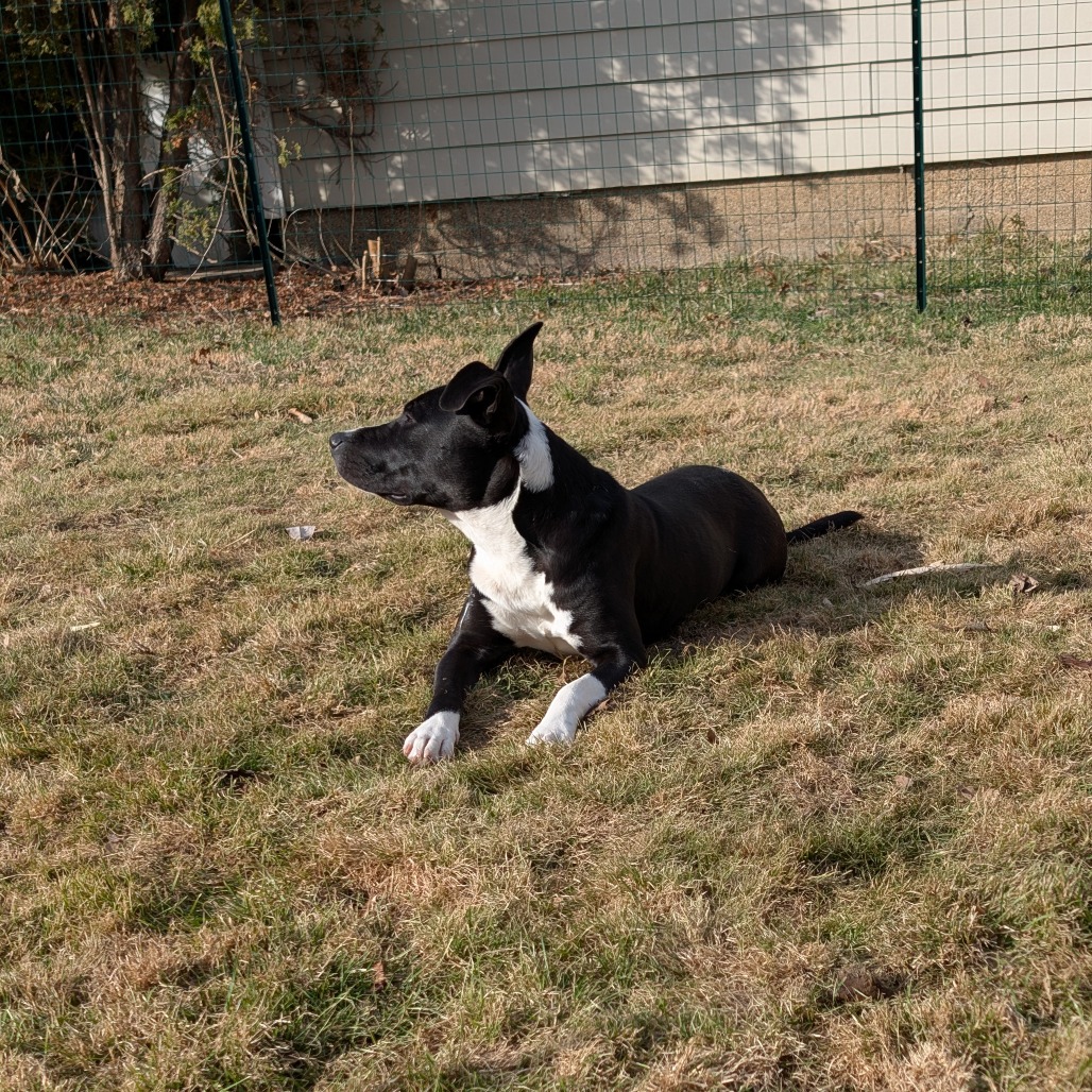 Wynter — thumbnail 2