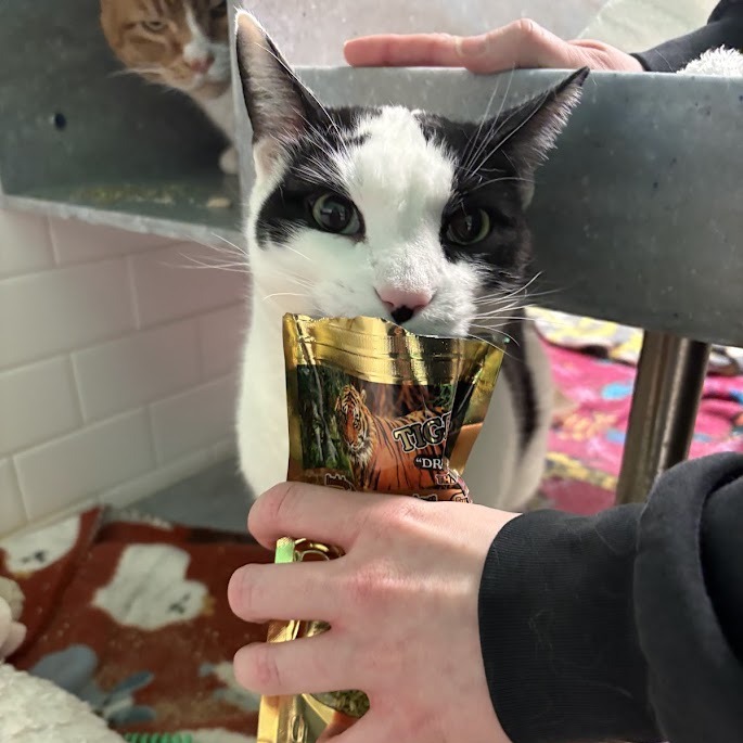 Photo of QZ and Freddy 21