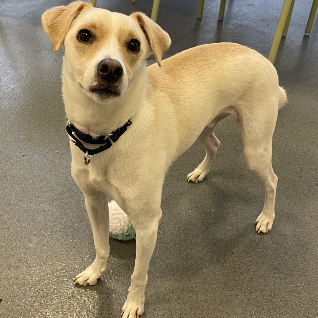 Tyrone — thumbnail 4