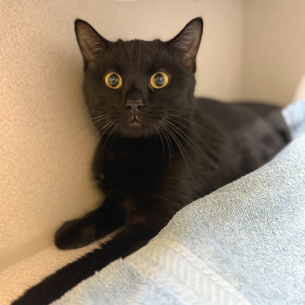 Photo of Uncle Sheetz