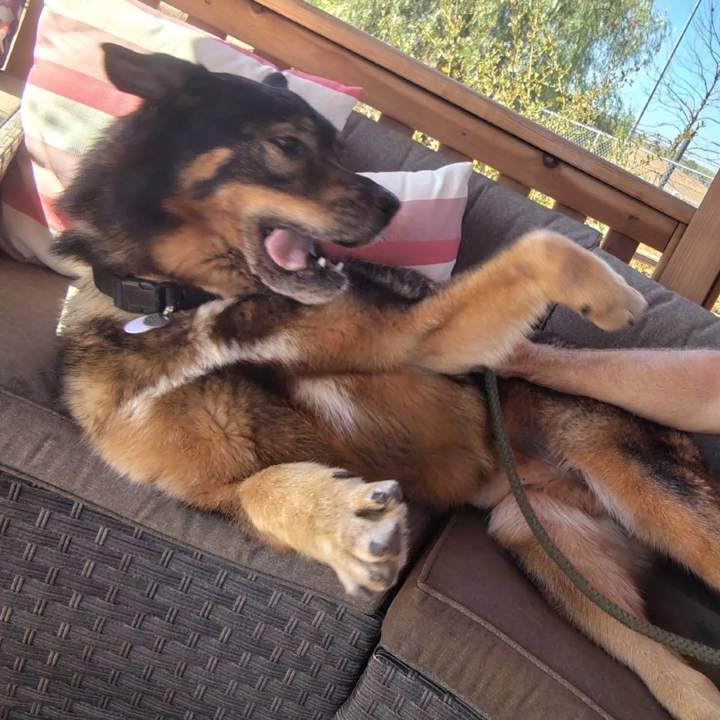 Bucky, photo 4