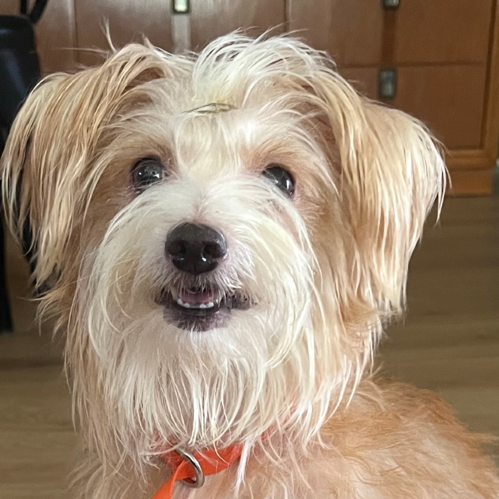 Laly — thumbnail 3