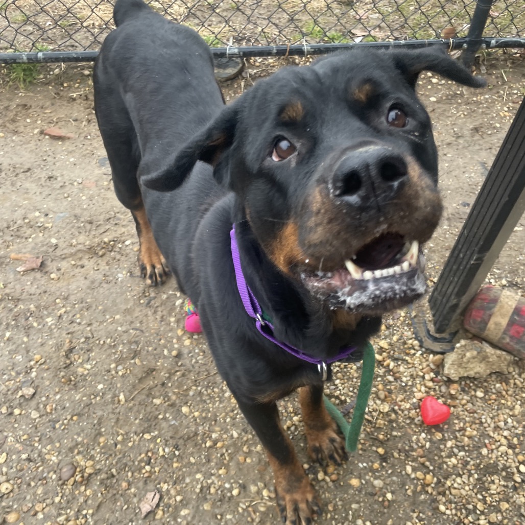 Zuna — thumbnail 5