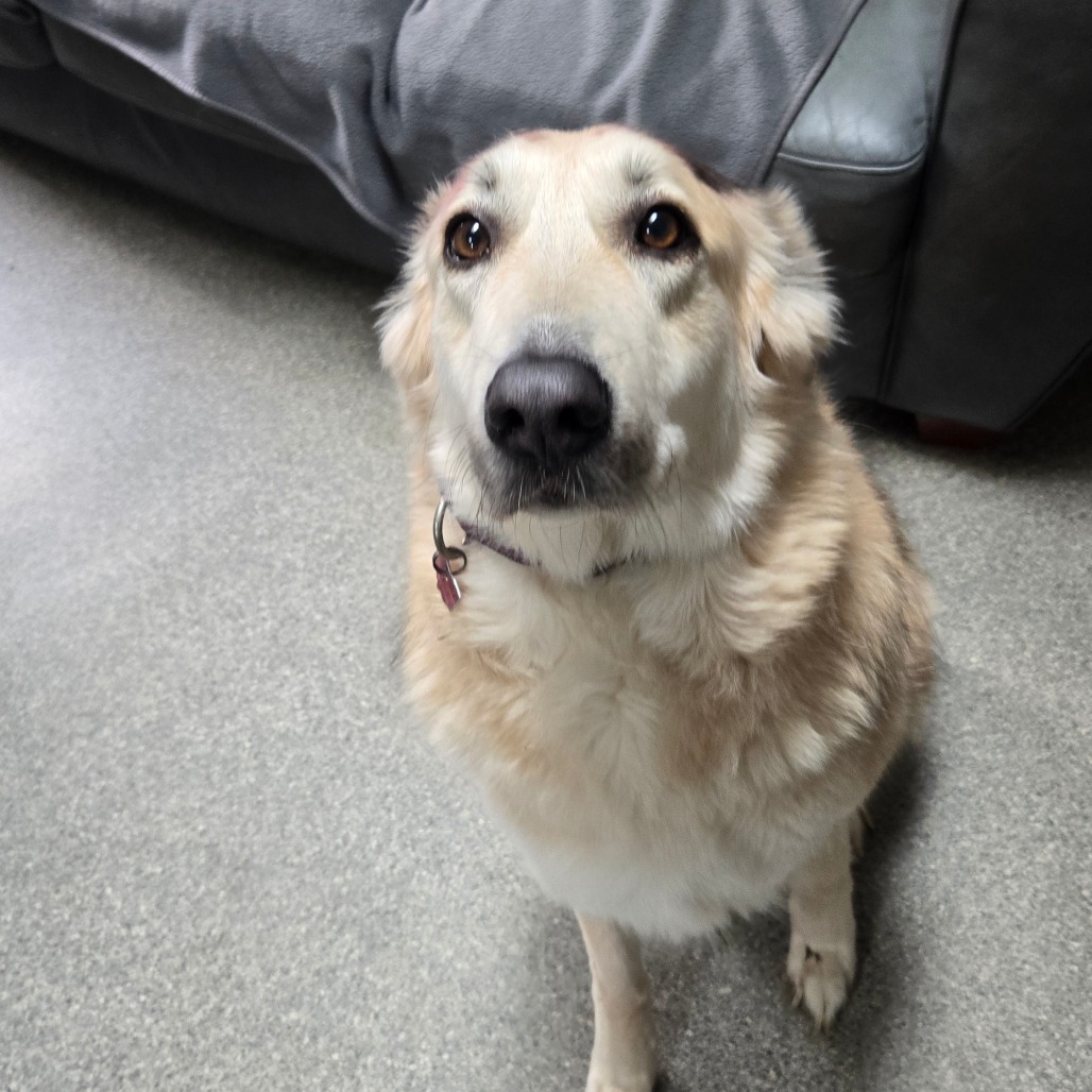 Diana — thumbnail 2