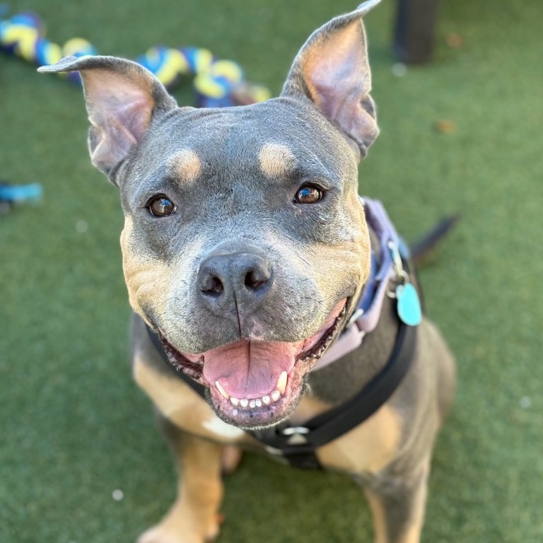 Image of Mary Ann looking at the camera