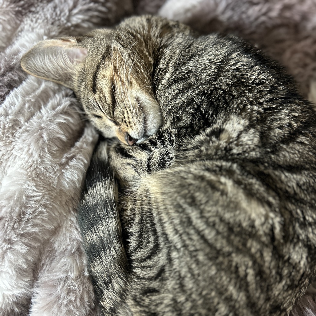 Louise — thumbnail 5