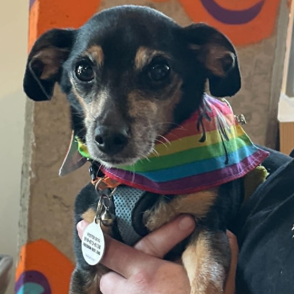 Peggy, photo 20