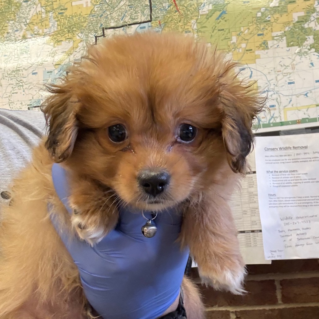 Milo