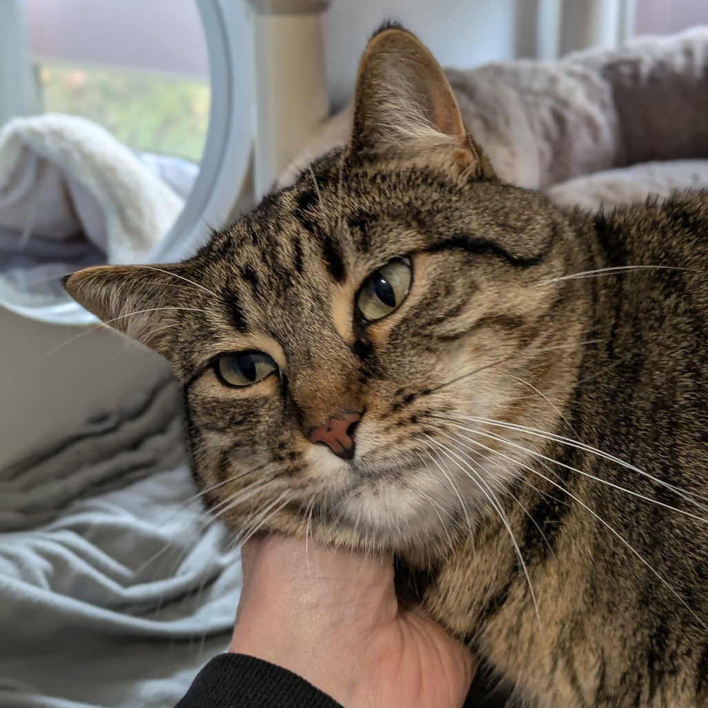 Penelope