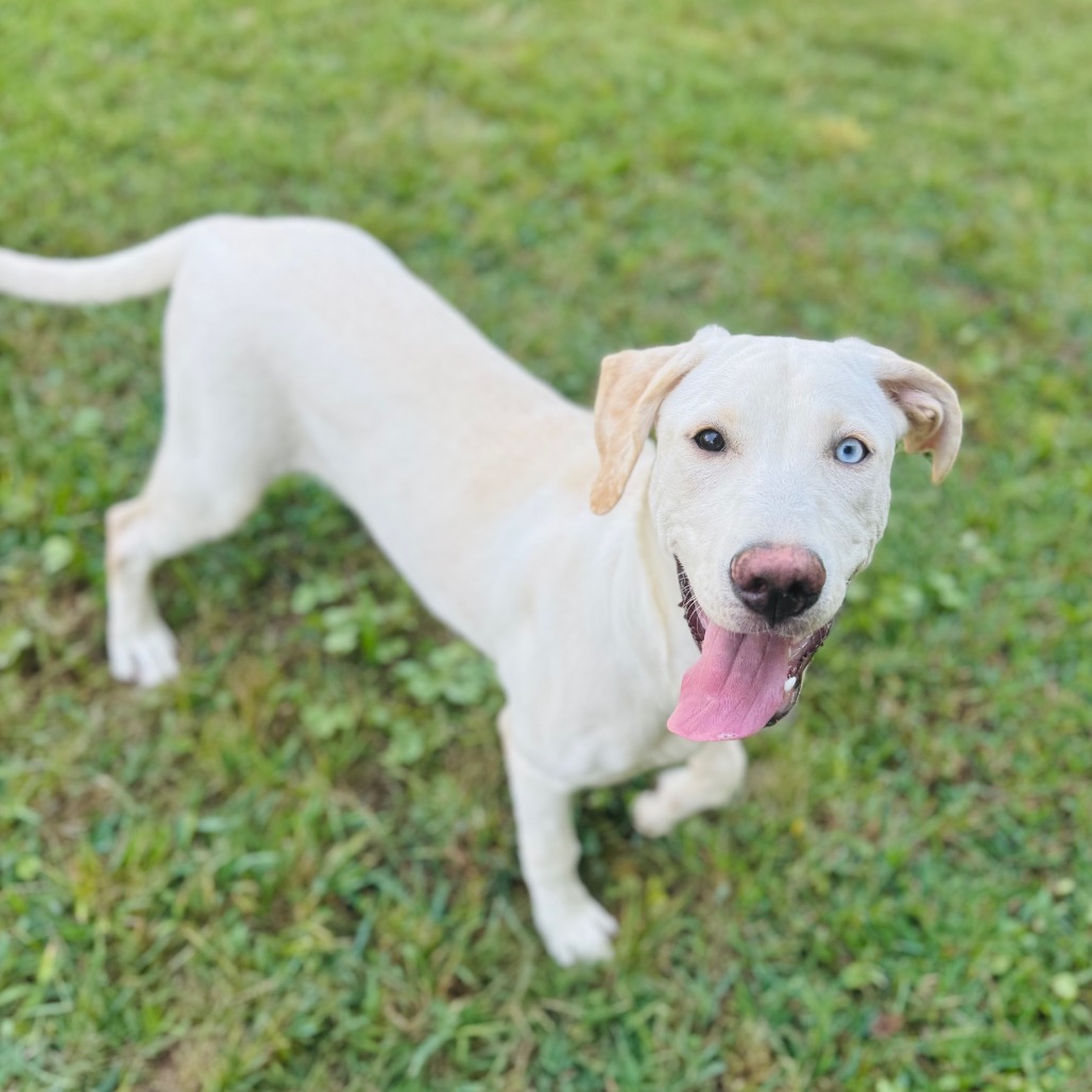 Freya — thumbnail 2