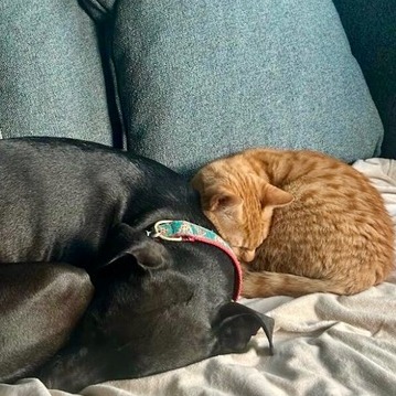 Animal namedMarshmellow