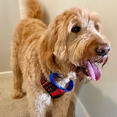 Tucker