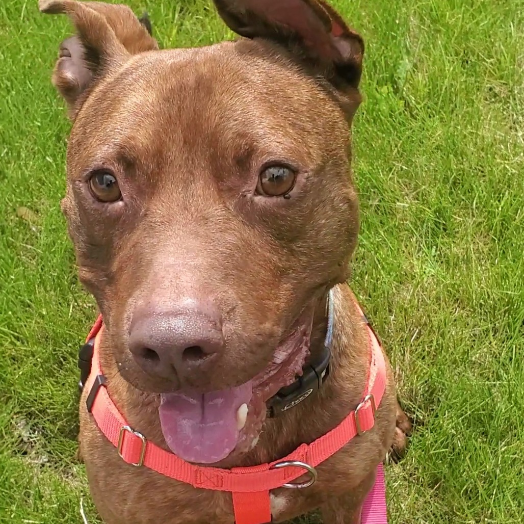 Simba-Foster — thumbnail 5