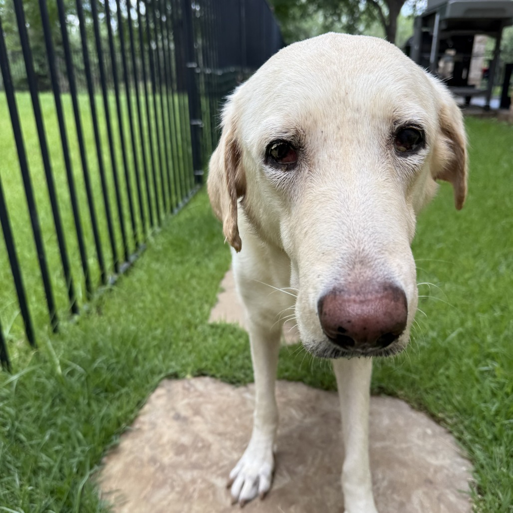 Betty, additional photo