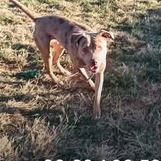 Photo of Reya