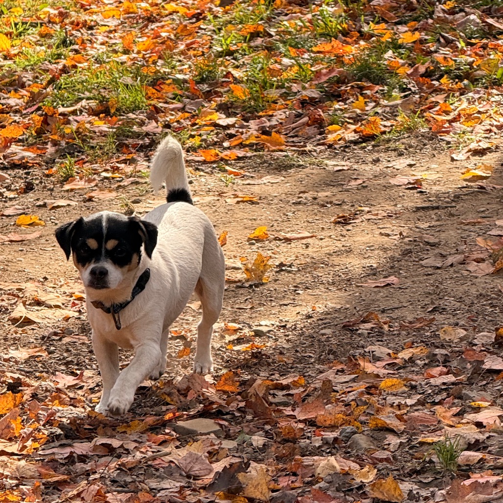 MYA, photo 13