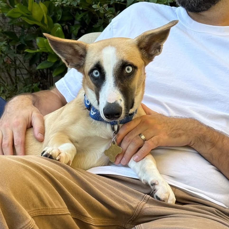 LILAH