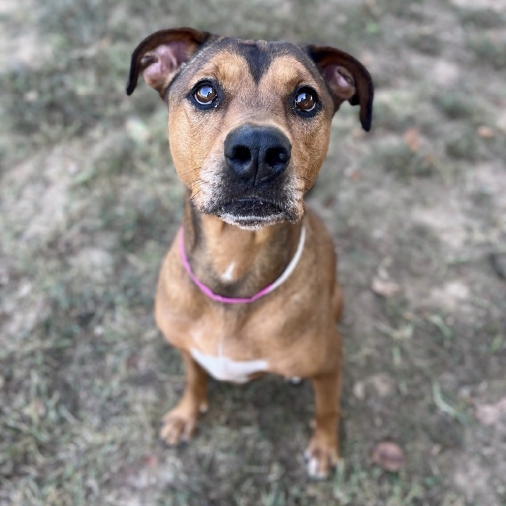 Friday — thumbnail 11