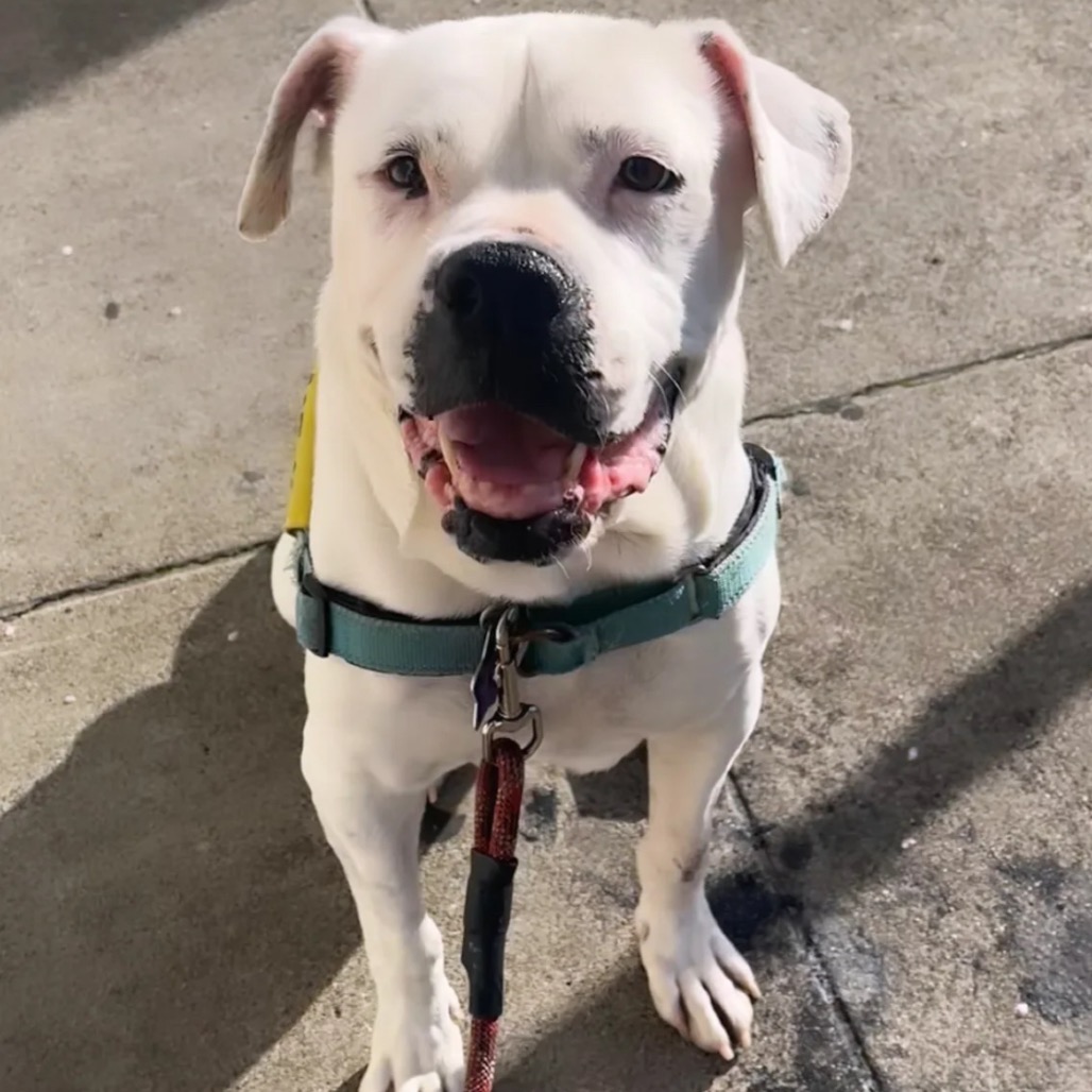 Daley Mae — thumbnail 3