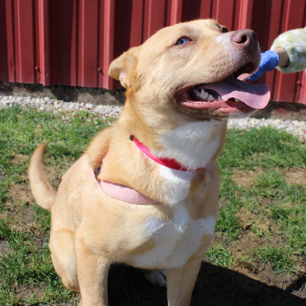 Stella — thumbnail 5