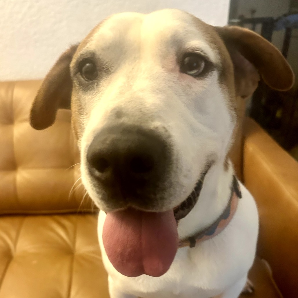 Sherman — thumbnail 4