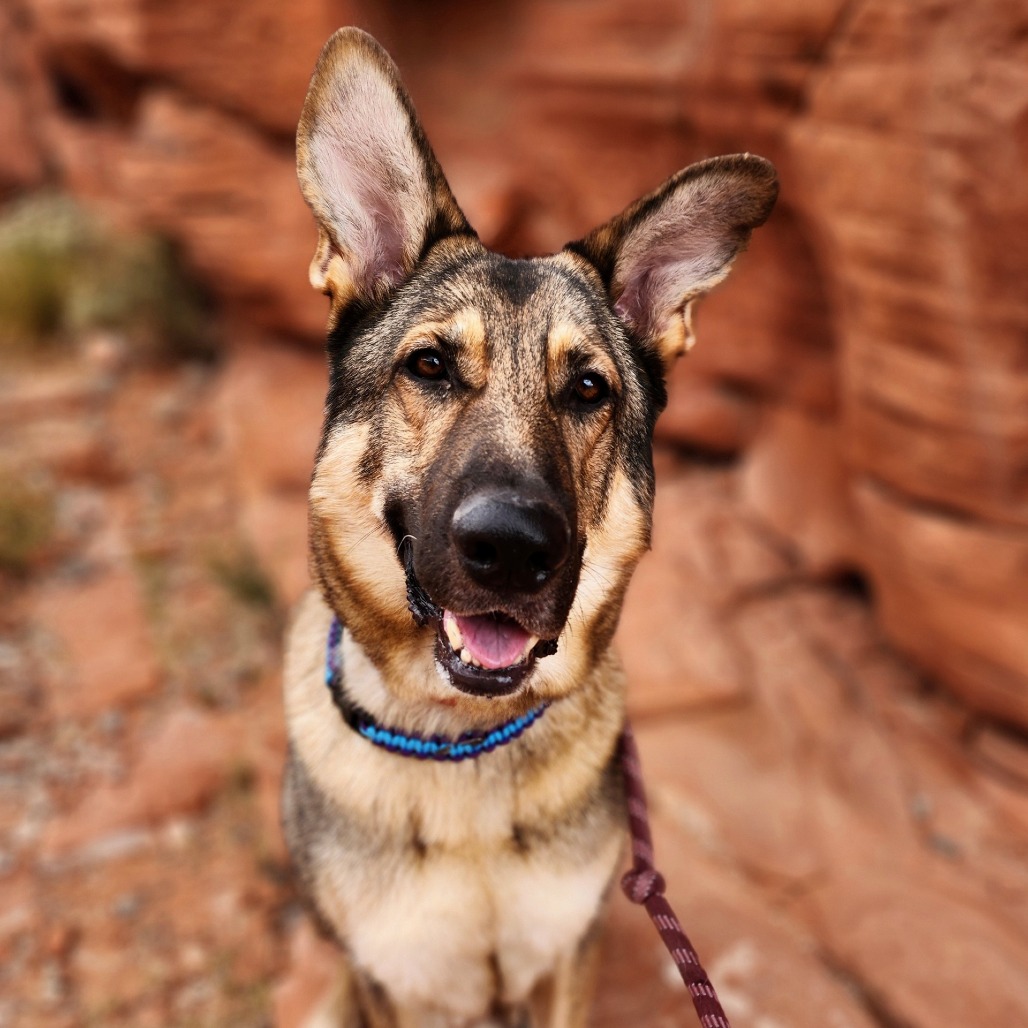Max In Foster