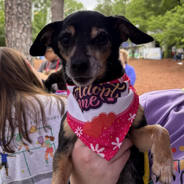 Peggy, photo 18
