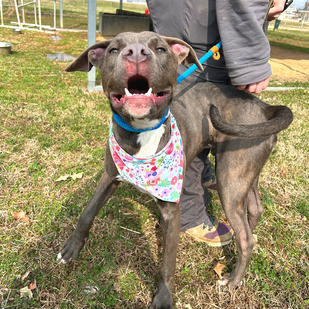 Smithereens — thumbnail 8