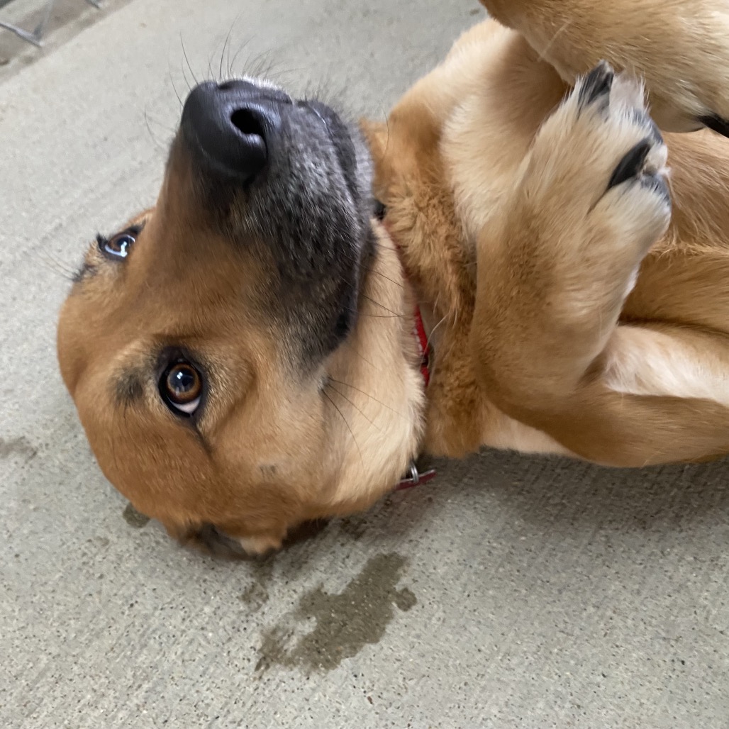 Theodora — thumbnail 4