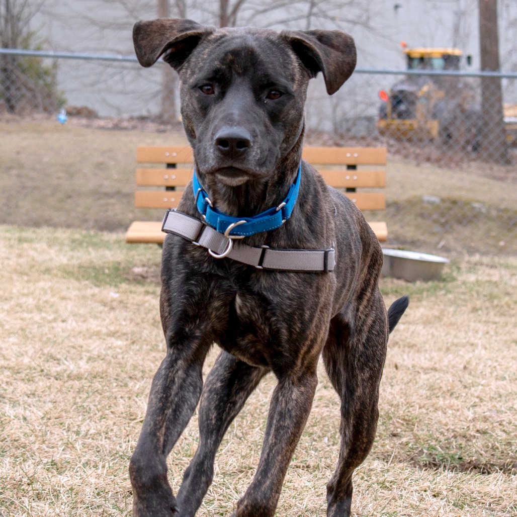 Earl, photo 16