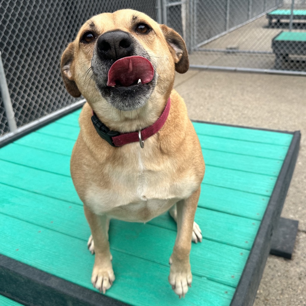 S'more — thumbnail 5