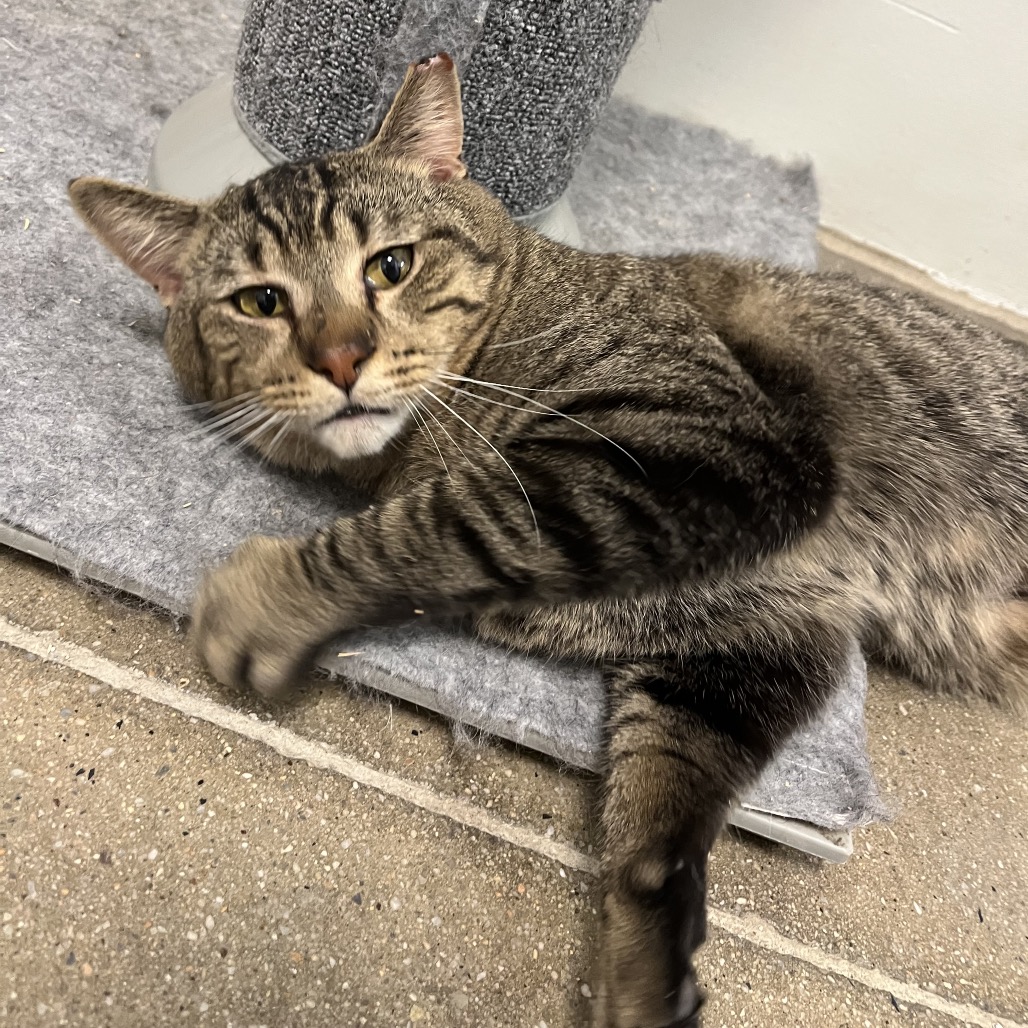 a0fbff91d14a6b22da77fd6696ce367d