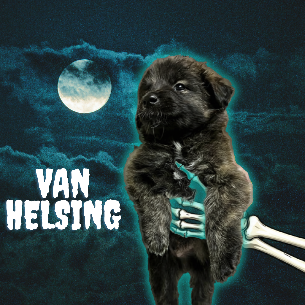 Van Helsing