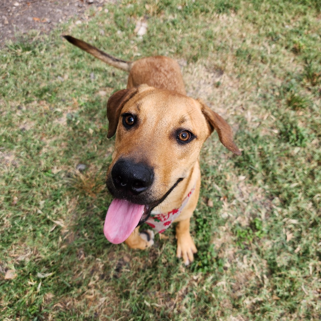 Ernie
