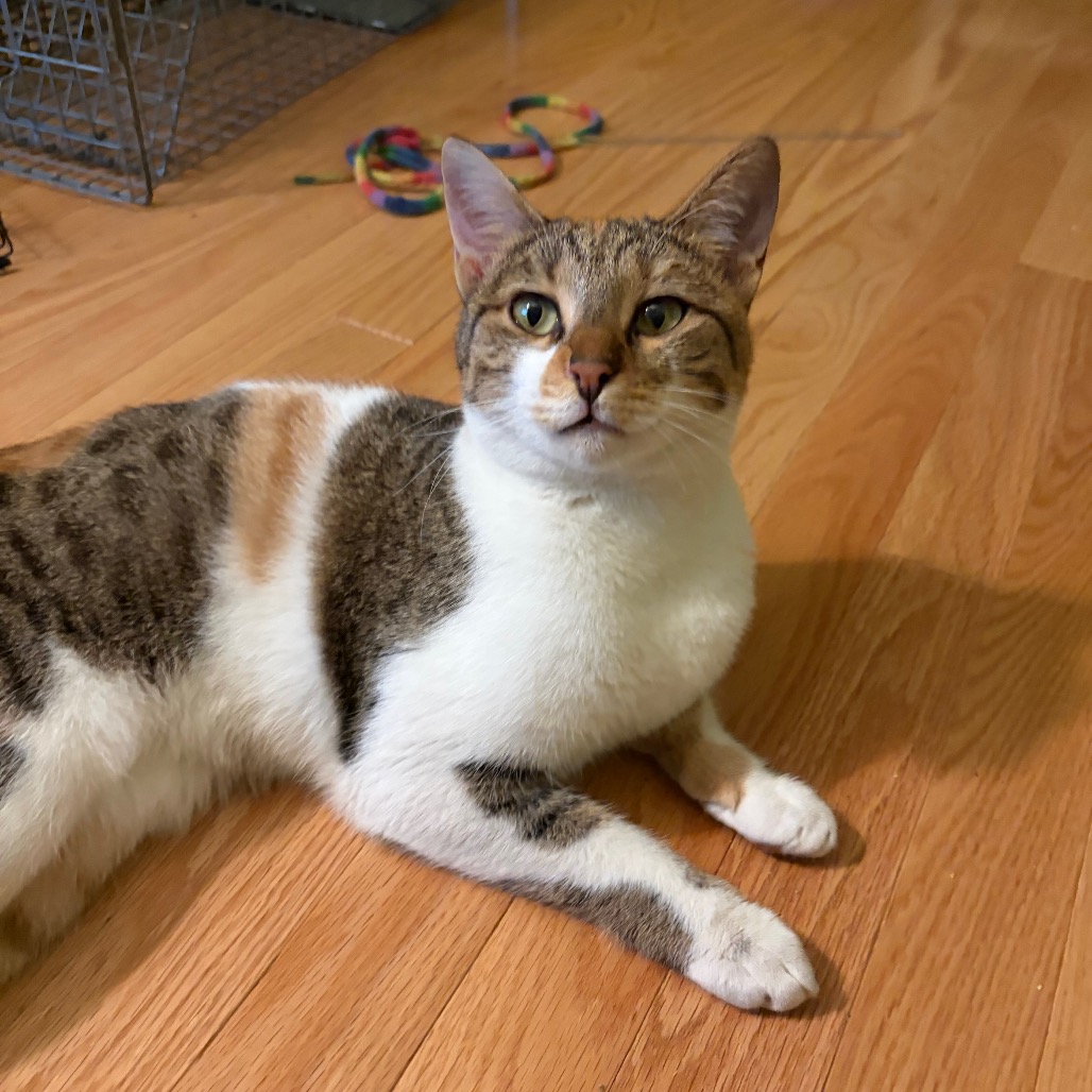 Grace, photo 5
