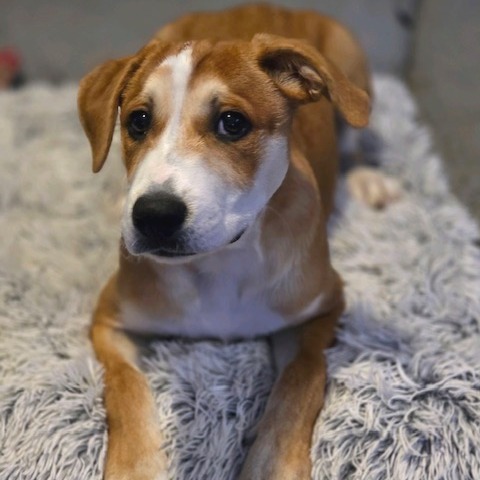 Marco, photo 8