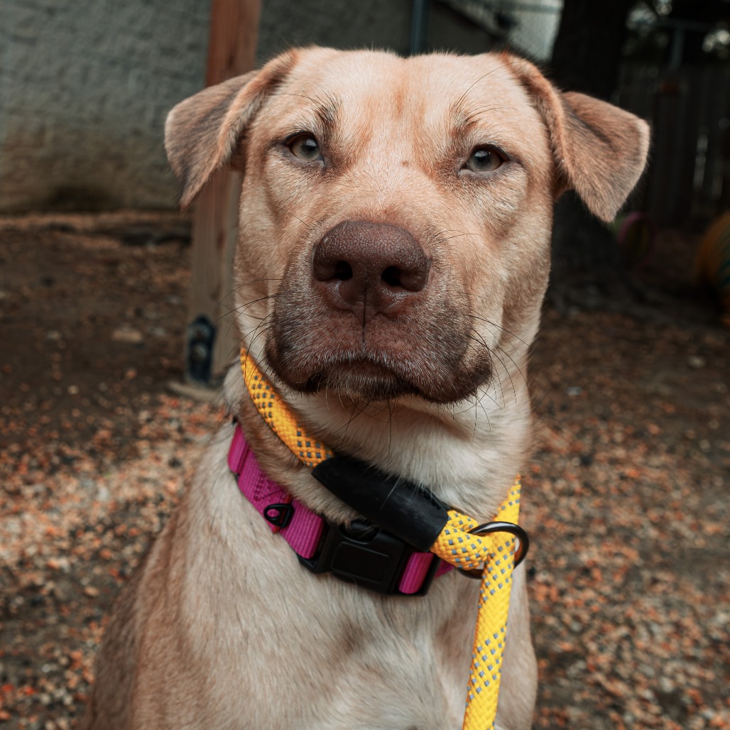 Cherie, photo 23