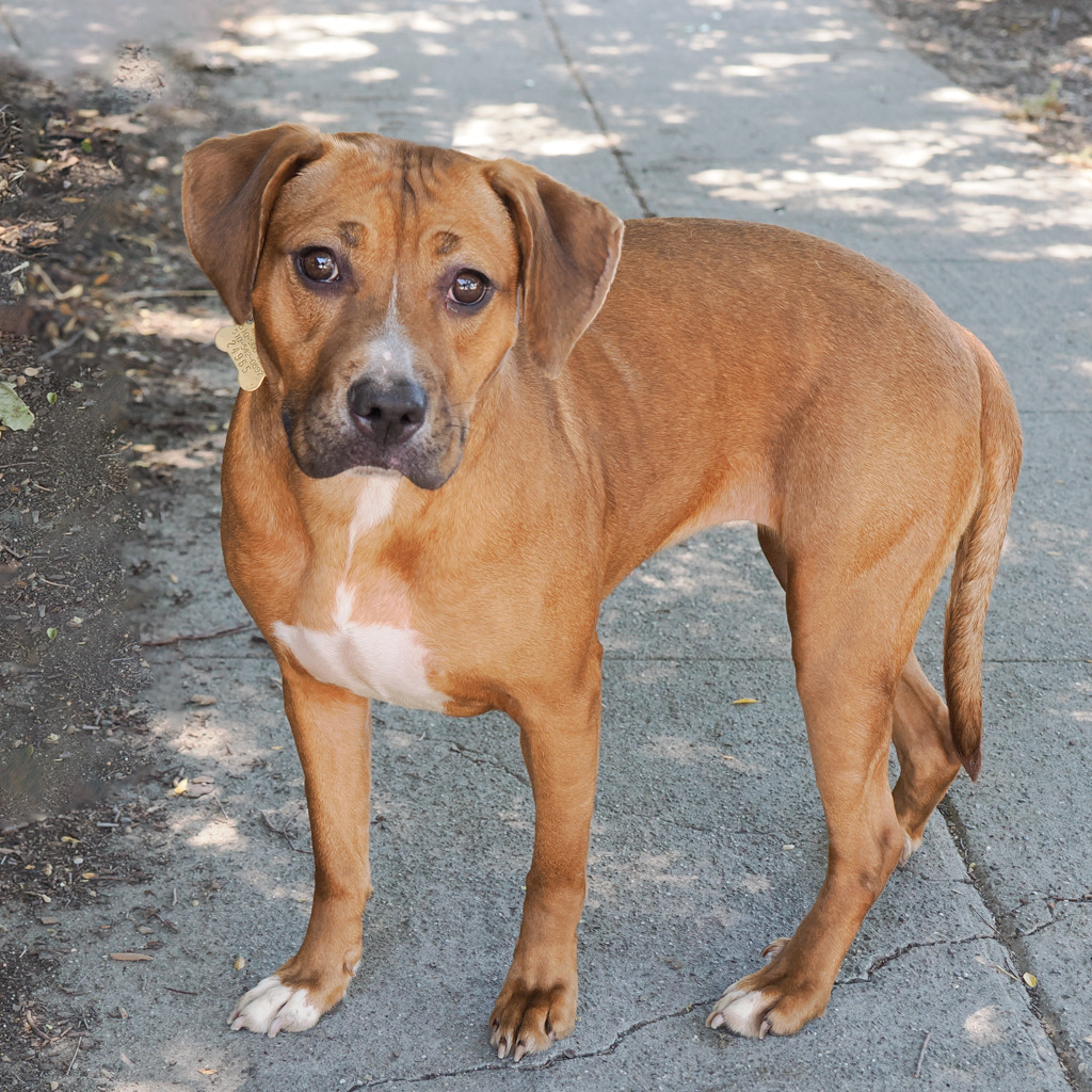 LULU (2), photo 2