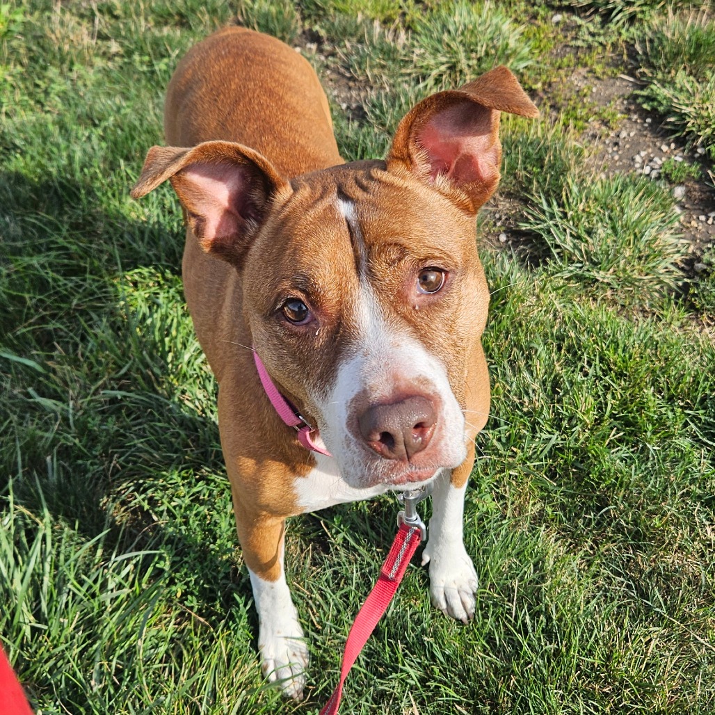 Neena, photo 2