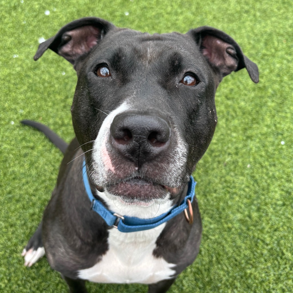 Photo of Ygritte  14