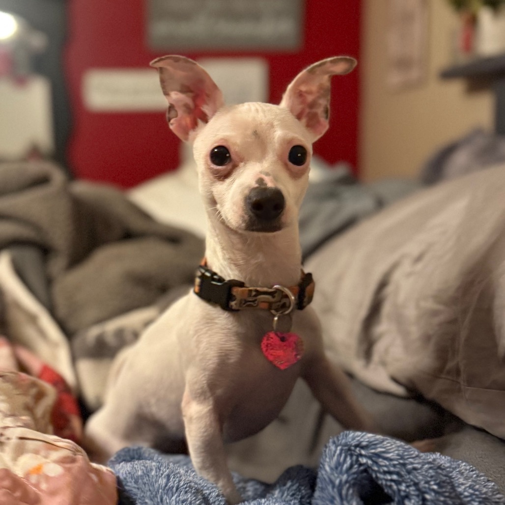 MINNIE, photo 15