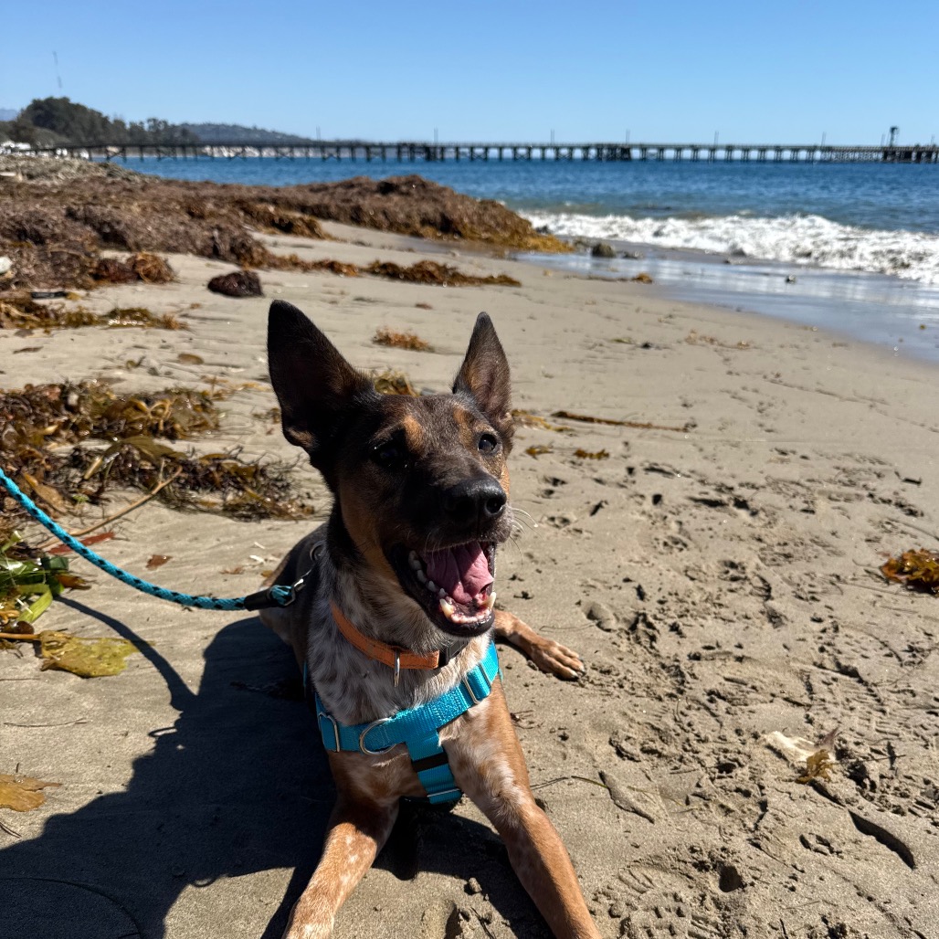 Cash, photo 29