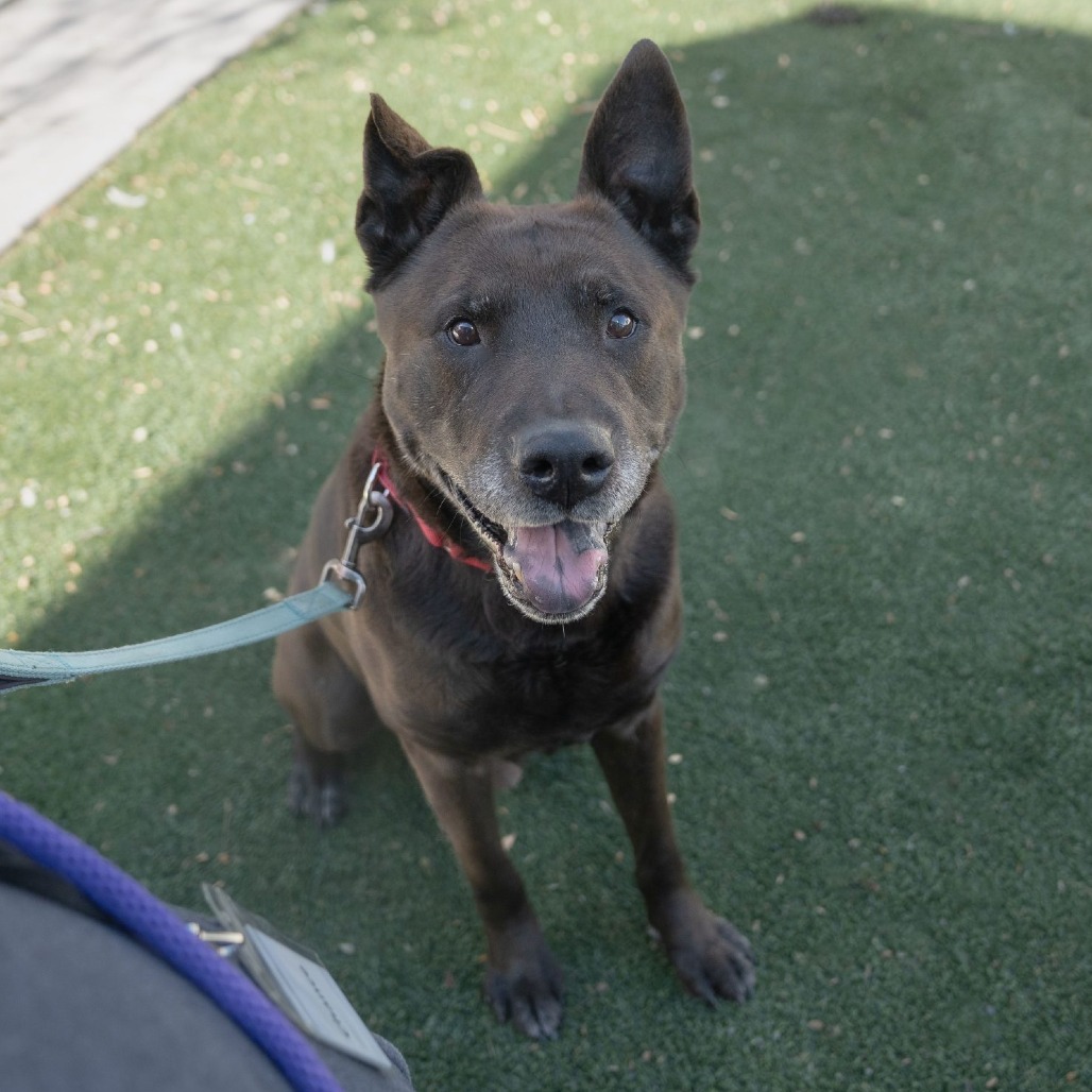 Zuzu, photo 5