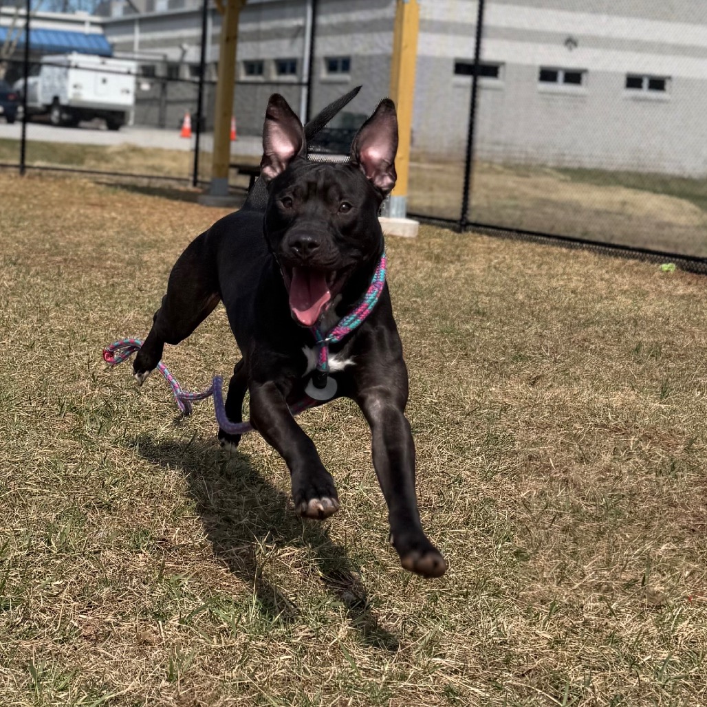 b79ffd1045141d6a80269a785273a49a